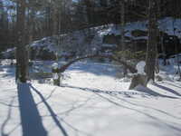 2013-02-10 13.31.56.JPG 
